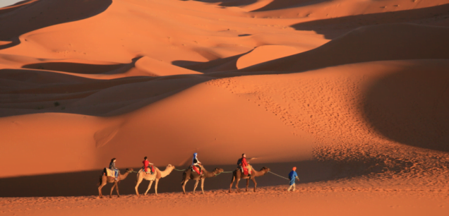 Desert