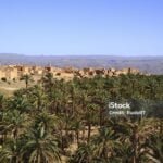 Zagora