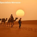 camel tours in morocco