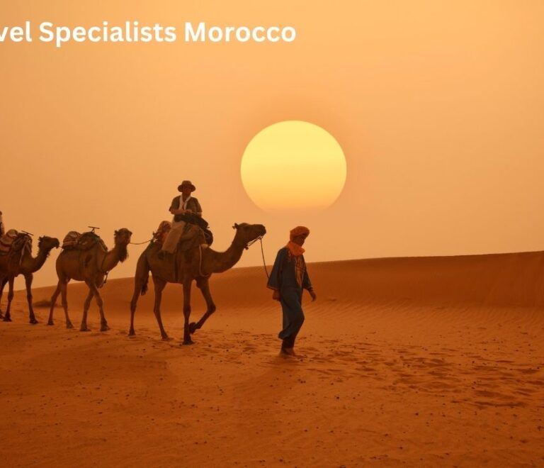 camel tours in morocco